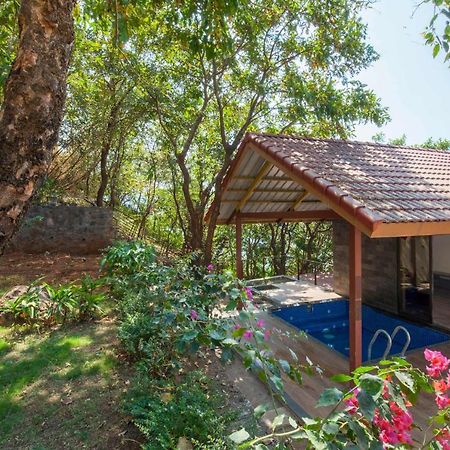 Soul Tree Villa 50 Super Luxury Villa With Heated Plunge Pool And Jacuzzi Лаваса Экстерьер фото